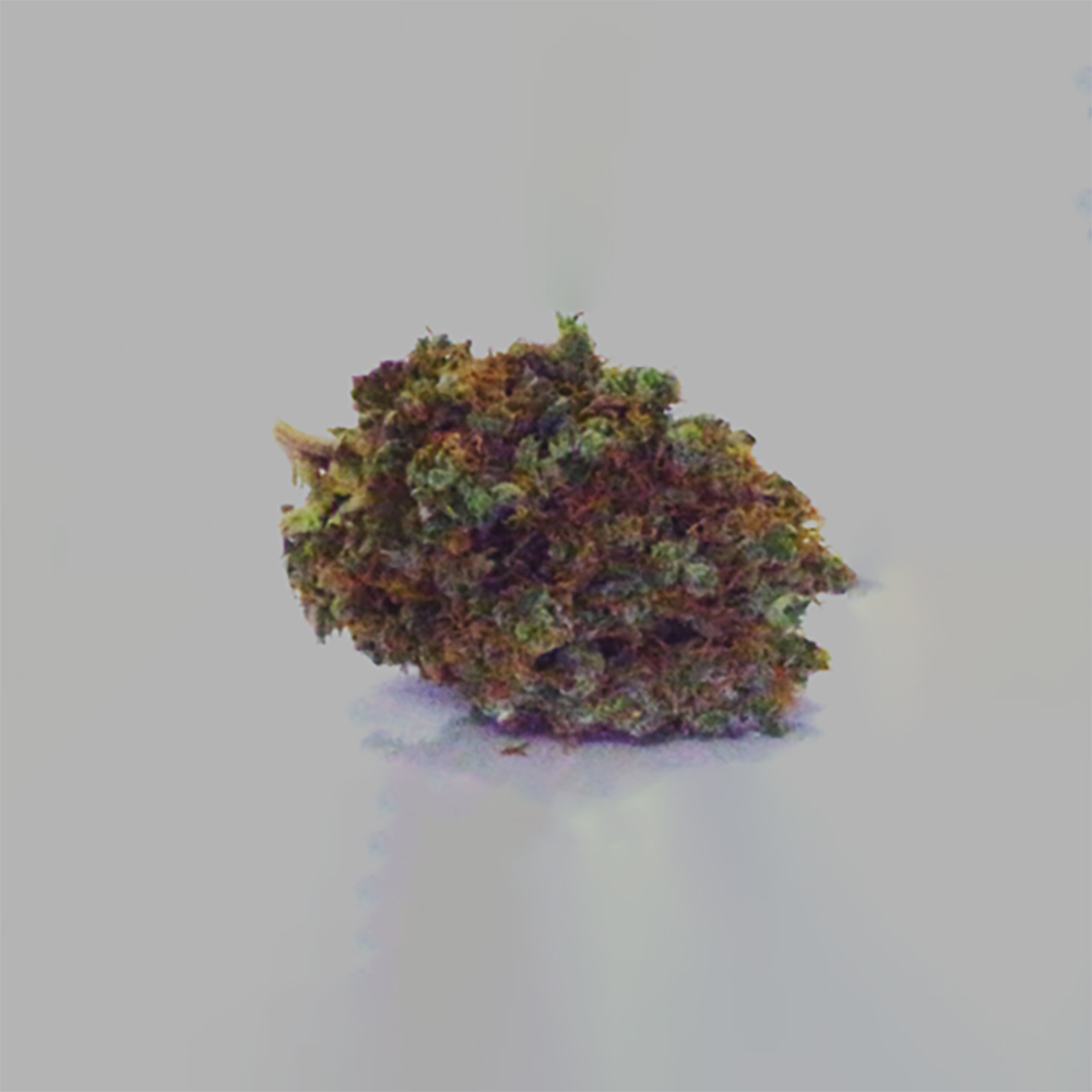 Kaptain Hook by Great Alaskan Bud Company