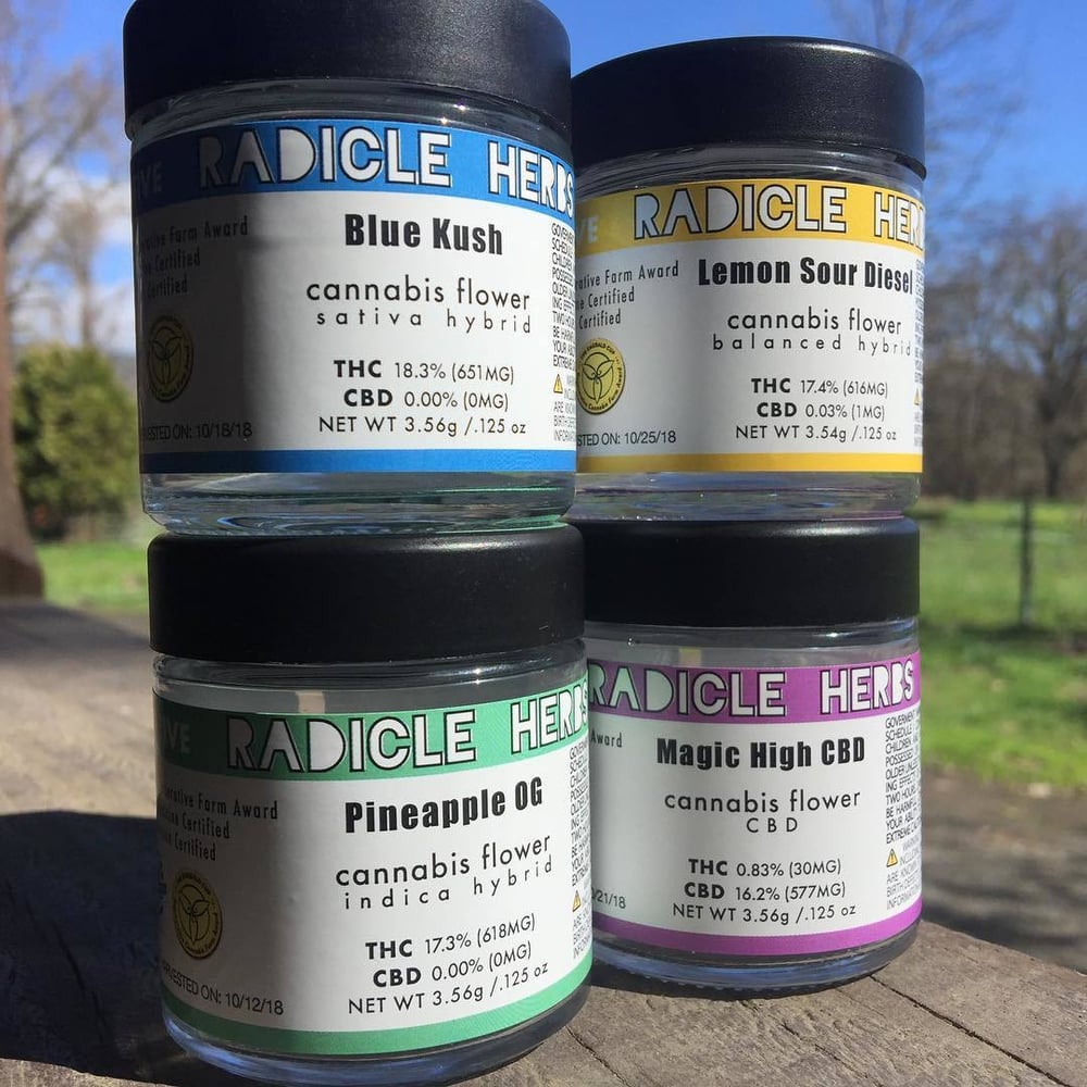 Apple Tarts by Radicle Herbs