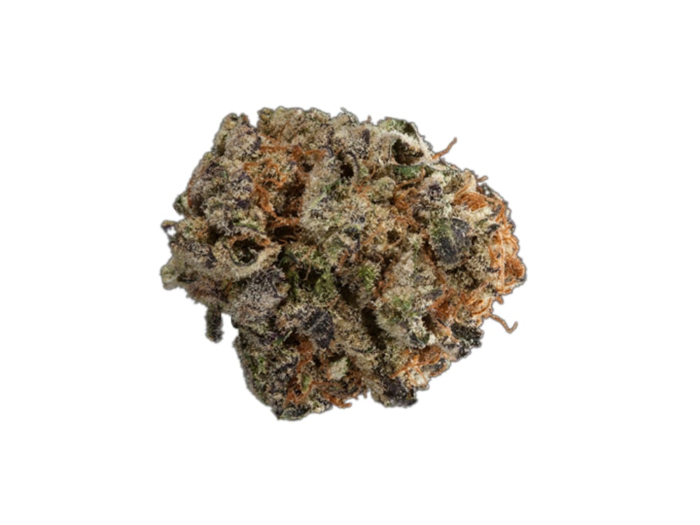 Quantum Kush by The Cannabis Farm
