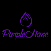Logo for Purple Haze - Everett Logo for Purple Haze - Everett