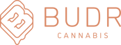 Logo for Budr - Danbury Mill Plain (Adult Use) Logo for Budr - Danbury Mill Plain (Adult Use)