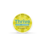Shop Thrive Mango Momentum [10pk] (250mg) | Cassville Dispensary