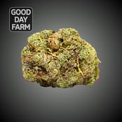 Shop Gas Truffle | Purspirit Cannabis Co. Dispensary