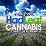 Logo for Hadleaf Cannabis Logo for Hadleaf Cannabis