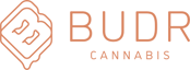 Logo for Budr Cannabis - Yonkers, NY (Rec) Logo for Budr Cannabis - Yonkers, NY (Rec)