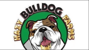 Logo for Hazy Bulldog Farms LLC Logo for Hazy Bulldog Farms LLC
