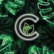 Logo for Cultivate Dispensary - Durango Logo for Cultivate Dispensary - Durango