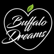 Logo for Buffalo Dreams Logo for Buffalo Dreams
