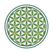 Logo for Life Flower Glendale Logo for Life Flower Glendale