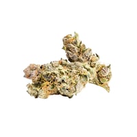 Blissful Wizard | Exclusive Flower