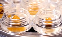 Promotional image for 25% off - All Concentrates