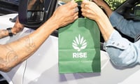 2 for $79 - &Shine|Good Green Disps. 2g