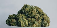 Promotional image for 15% Off Mix N' Match Flower Ounces