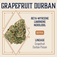 Grapefruit Durban Grapefruit Durban