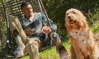 50% off - Assorted Dogwalker Pre-Rolls