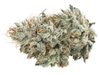GG4