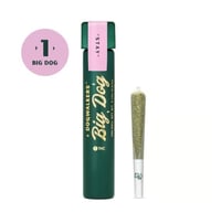 Shop Cannabis in Boston | Rooted In