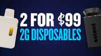 Promotional image for 2 FOR $99 ALL 2G DISPOSABLES