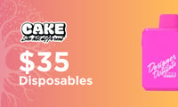Promotional image for Cake Disposables $35