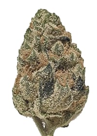 Shop Cereal Milk #1 | Kapha Cannabis Dispensary Lenox, MA