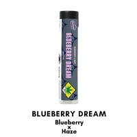 Shop Jack Herer (1G) | Remedy Tulalip Dispensary Quil Ceda Village, WA