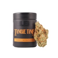 Tangie Ting Tangie Ting