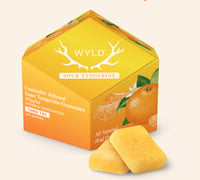 Sour Tangerine Hybrid Enhanced Gummies | 100mg