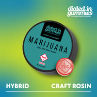 300mg - Hula Berry - Rosin Gummies (10pk) 300mg - Hula Berry - Rosin Gummies (10pk)