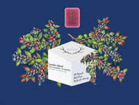 Huckleberry Hybrid Enhanced Gummies | 100mg THC