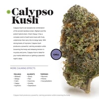 Fishtown Dispensary Menu Restore Integrative Wellness Center