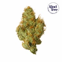 Tri-State Black Banana