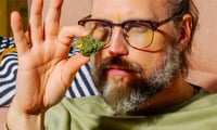 Promotional image for 35% off - Select Flower Strains (3.5g)