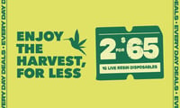Promotional image for 2 FOR $65 1G LIVE RESIN DISPOSABLES