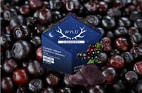 Elderberry 2:1 CBN + Indica Enhanced Gummies | 100mg THC:50mg CBN