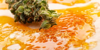 Promotional image for 15% Off Mix N' Match 3g Concentrate