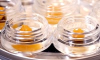 $11 off - RYTHM Live Resin Concentrates