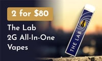 Promotional image for 2 for $80: The Lab 2g All-In-Ones