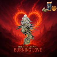 Burning Love