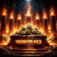 Tribute #13 Tribute #13