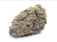 Jet Fuel