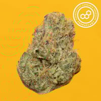 Shop Fine Fettle Willimantic RECREATIONAL Dispensary Willimantic, CT