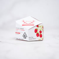 WYLD - RASPBERRY - GUMMY - SATIVA - [100MG]