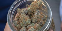 Promotional image for 10% Off Mix N' Match Flower Half Ounces