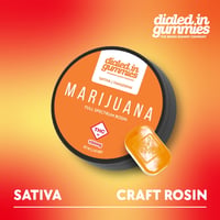Dialed In 100mg Tangerine -