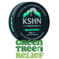 Shop KSHN - CITRUS - THC POUCH - 20 X 10MG 200MG | Green Tree