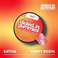 100mg - Guava - Rosin Gummies (10pk)