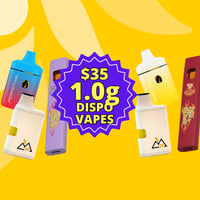 Promotional image for $35 1.0g Disposables - 2+ $30 each