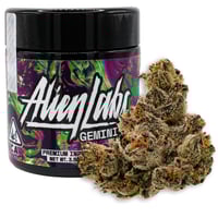 gelato café  LAB CLIP 2冊 gelato café LAB CLIP 2冊