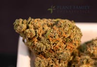 Shop Bubba Kush Distillate Cart | Plant Family Therapeutics