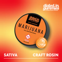 300mg - Tangerine - Rosin Gummies (10pk) 300mg - Tangerine - Rosin Gummies (10pk)